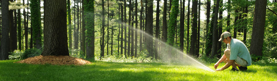 Michigan Irrigation